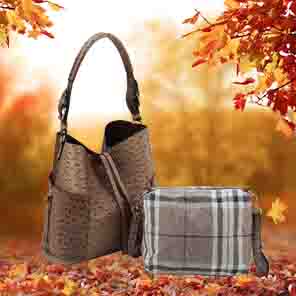 Handbag Express